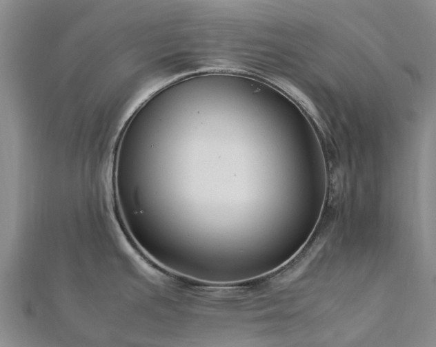 X0000113011391200909031305