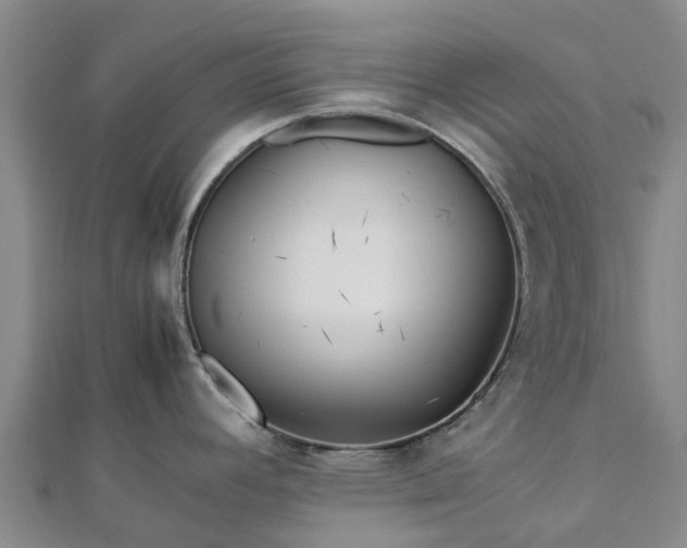 X0000113011392200909031305