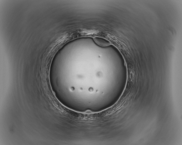 X0000113011393200909031304