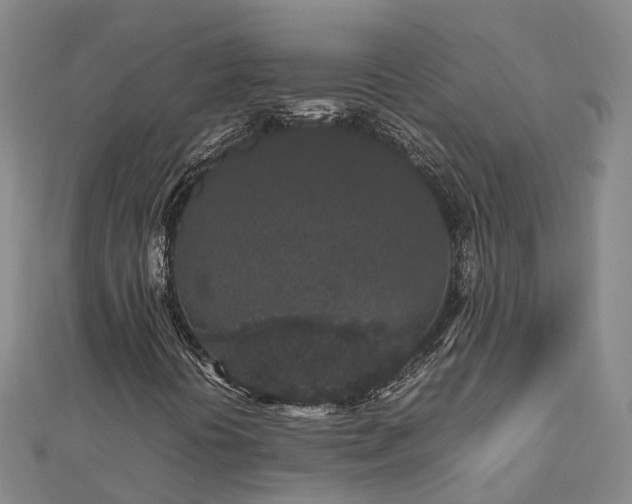 X0000113011394200909031304