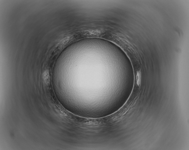 X0000113011395200909031304