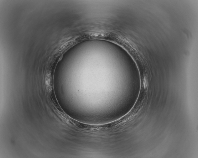 X0000113011396200909031304