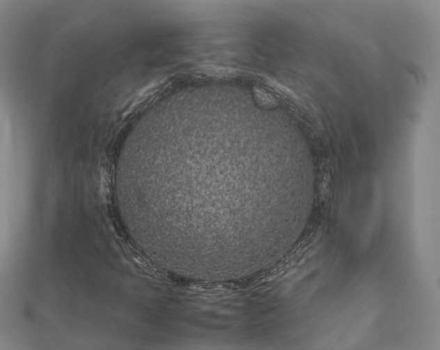 X0000113011397200909031304