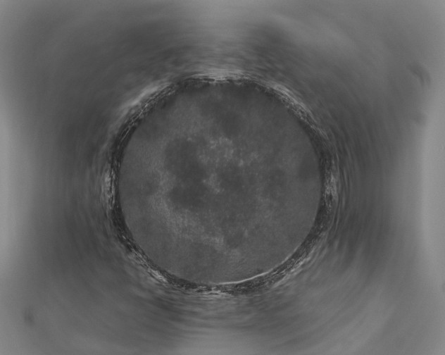 X0000113011398200909031304