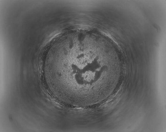 X0000113011399200909031304