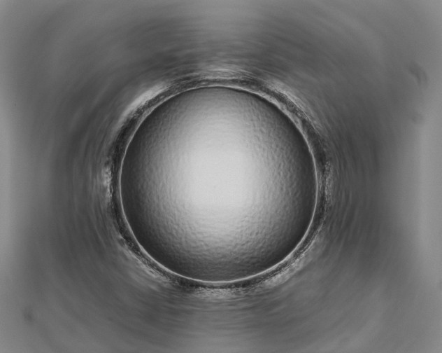 X0000113011402200909031304