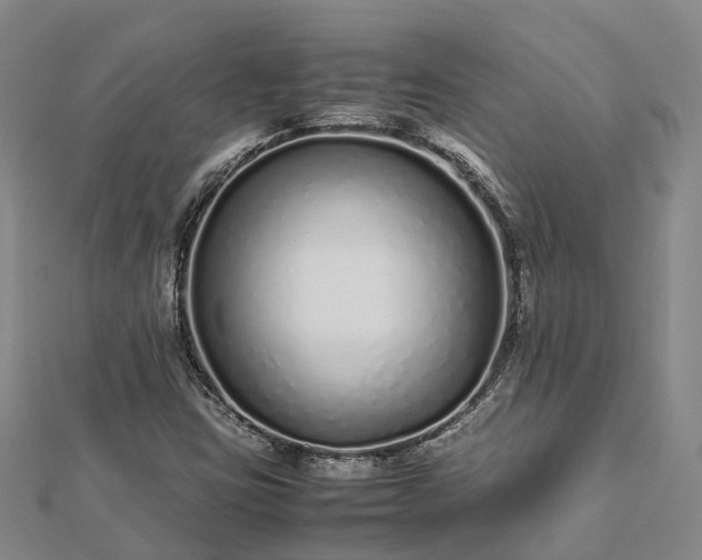 X0000113011403200909031304