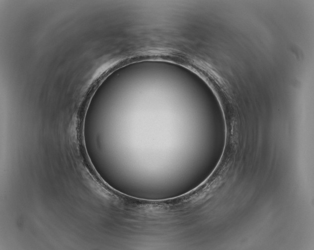 X0000113011404200909031304