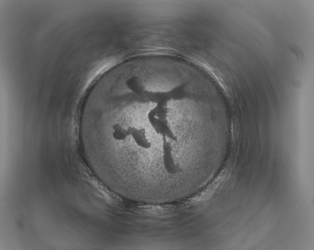 X0000113011405200909031304