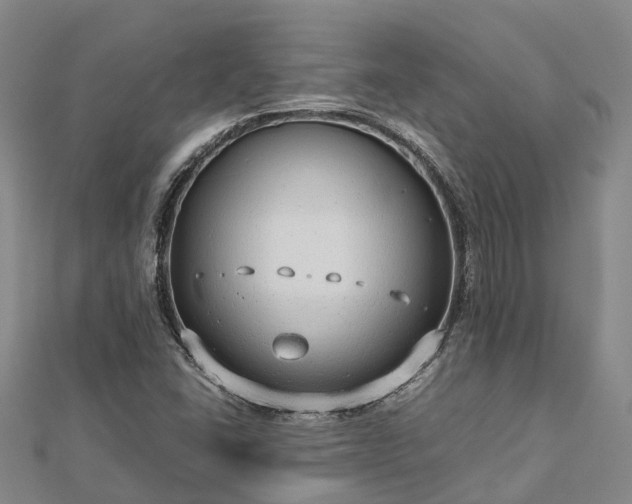 X0000113011406200909031304