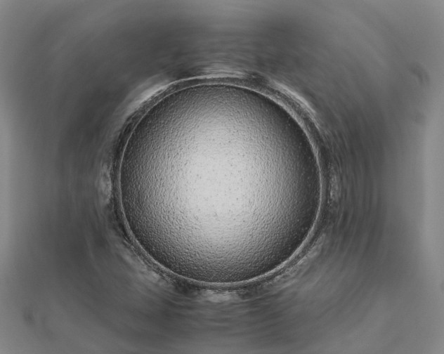 X0000113011407200909031304