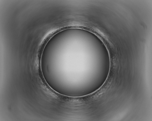 X0000113011408200909031304