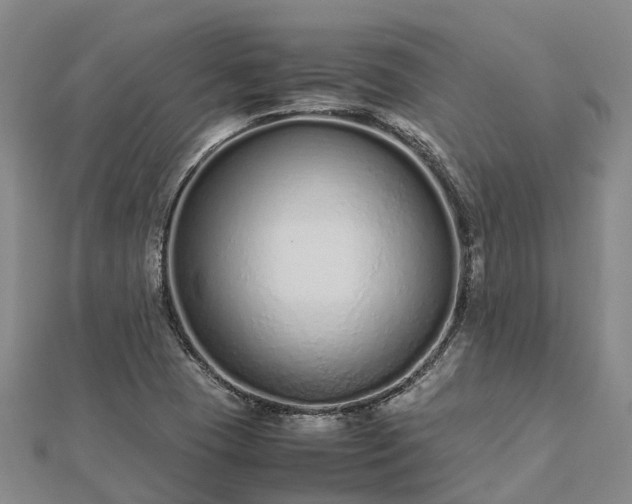 X0000113011409200909031304