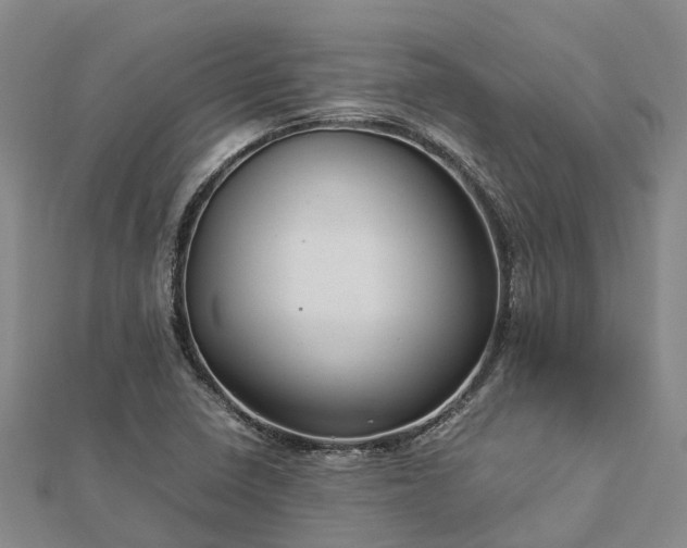 X0000113011410200909031304