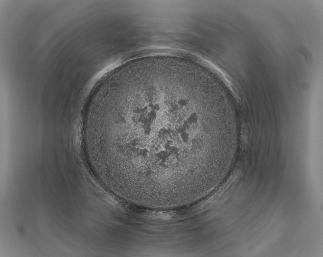 X0000113011411200909031304