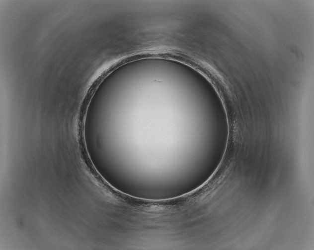 X0000113011412200909031304