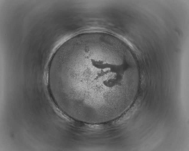 X0000113011413200909031304