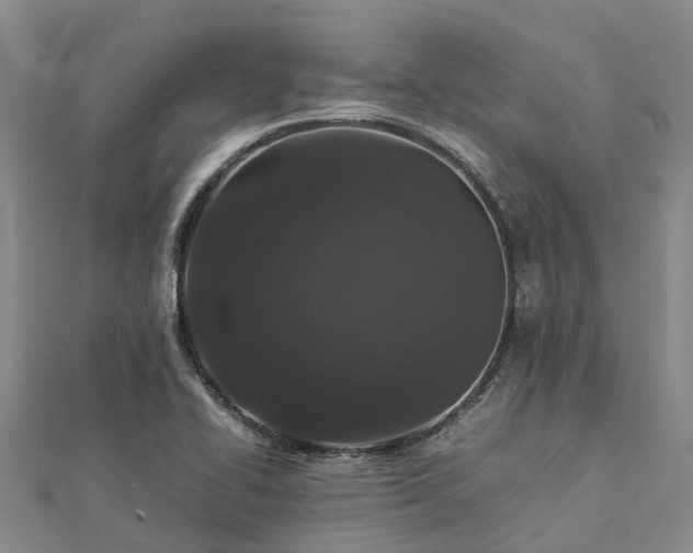 X0000113011414200909031304