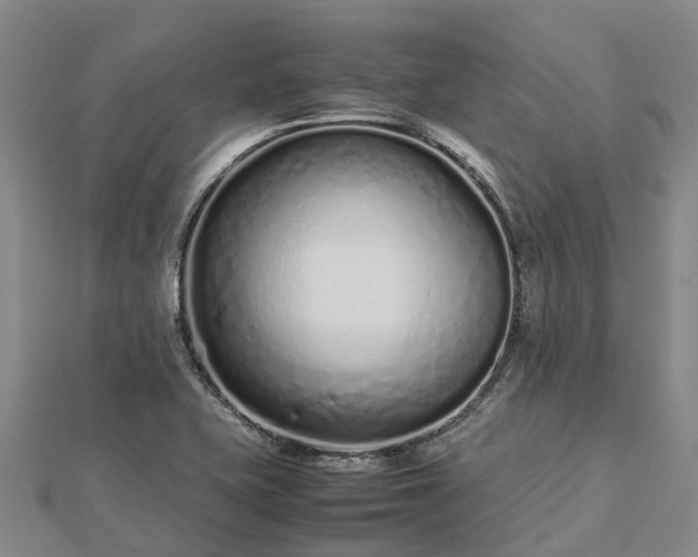 X0000113011415200909031304