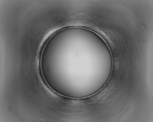 X0000113011416200909031304