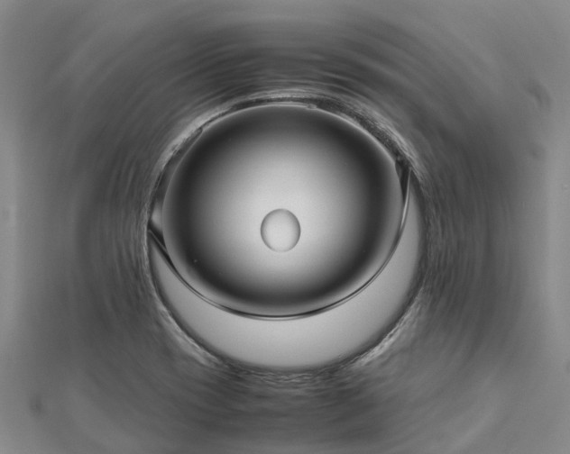 X0000113011417200909031304