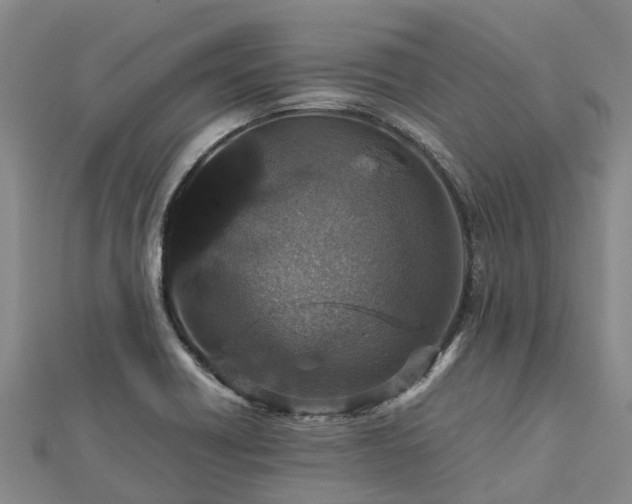 X0000113011418200909031304