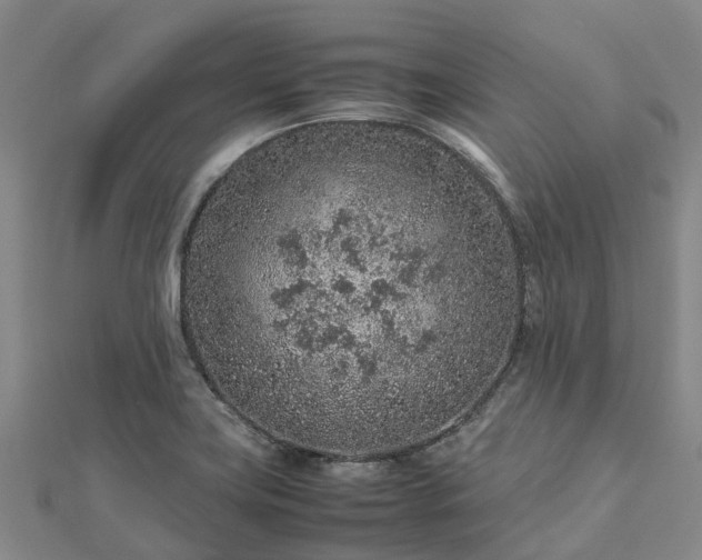 X0000113011419200909031304