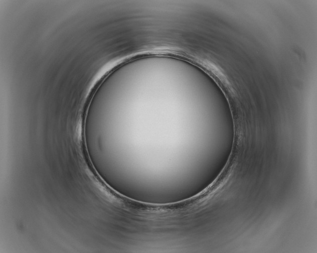 X0000113011420200909031304