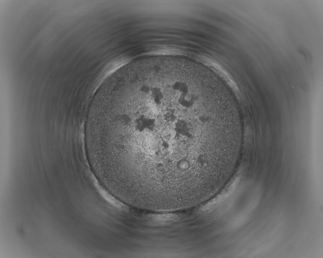 X0000113011425200909031304