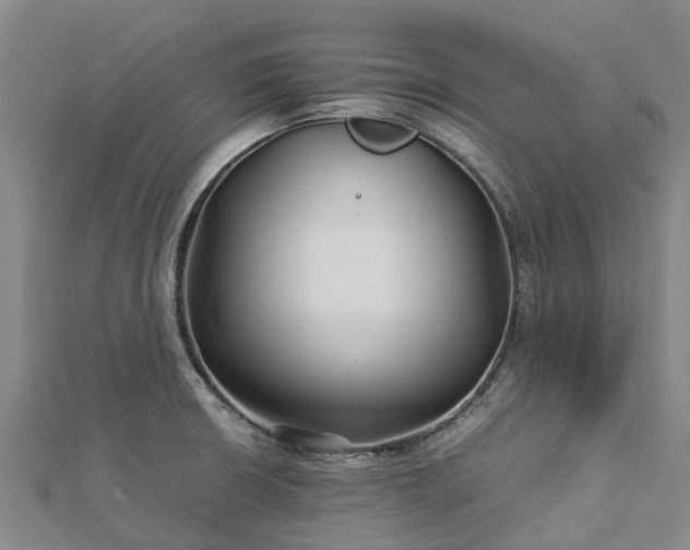 X0000113011426200909031304