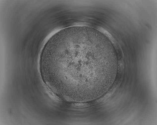 X0000113011427200909031305