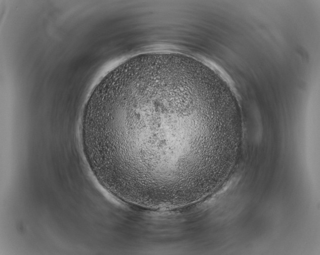 X0000113011429200909031305