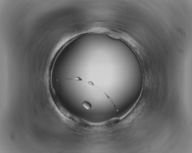 X0000113011430200909031305