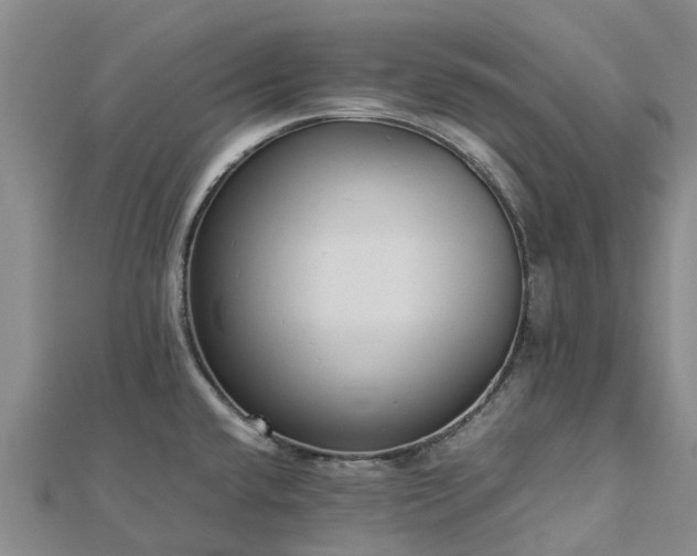 X0000113011432200909031305