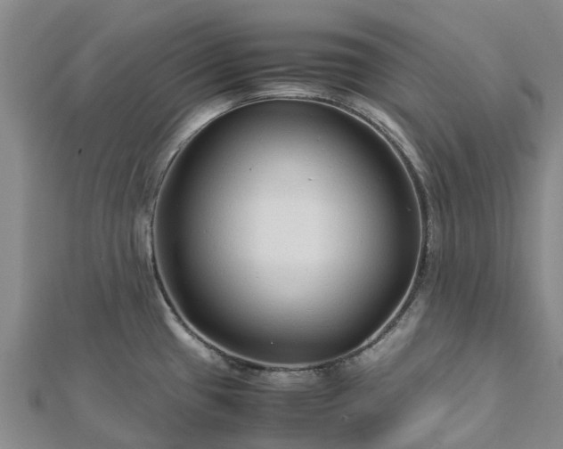 X0000113011433200909031305