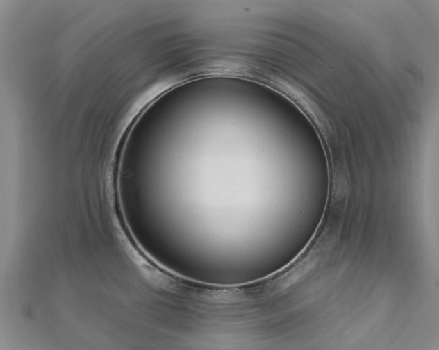 X0000113011434200909031305