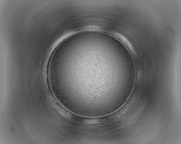 X0000113011435200909031305