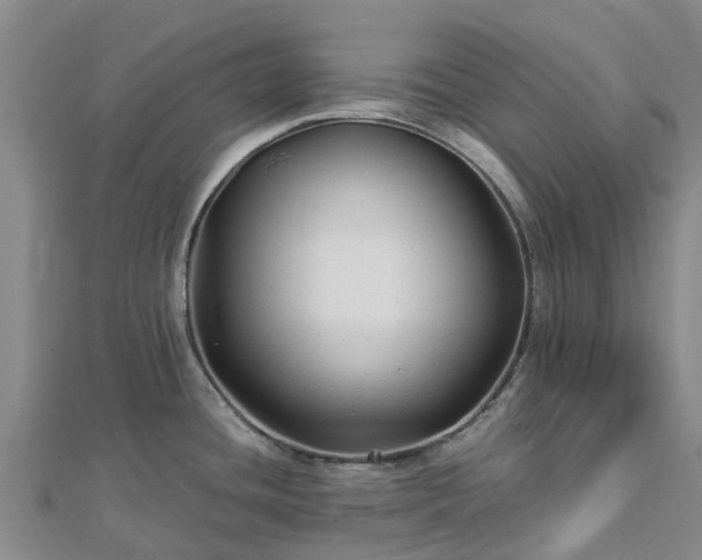 X0000113011436200909031305