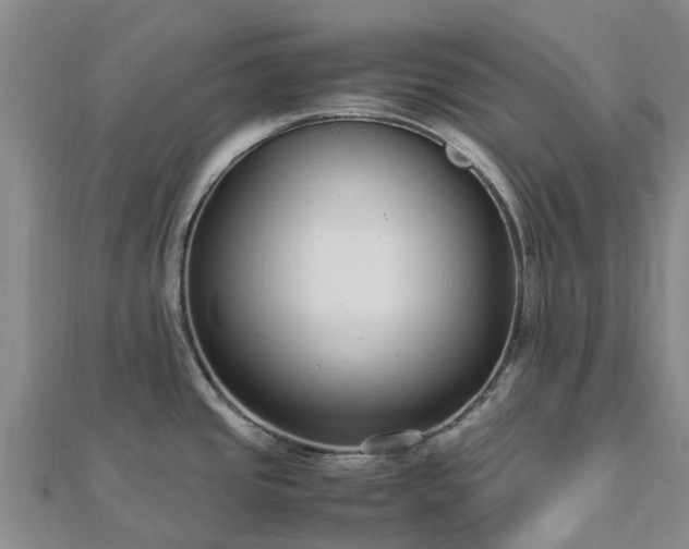 X0000113011437200909031305