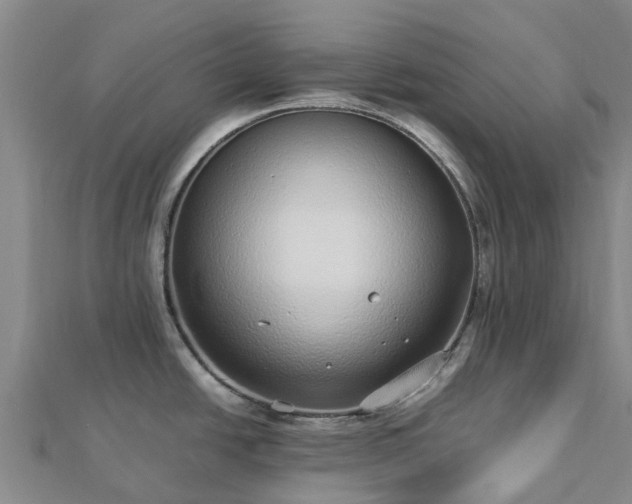 X0000113011438200909031305