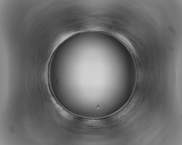 X0000113011439200909031305