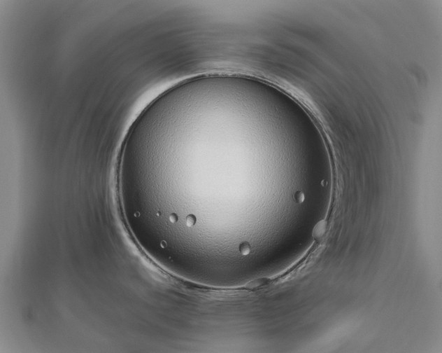 X0000113011440200909031305