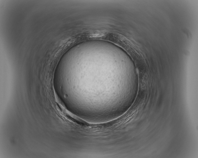 X0000113011441200909031304