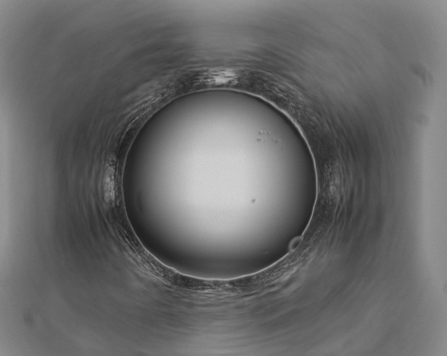 X0000113011442200909031304