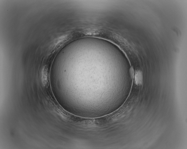 X0000113011444200909031304