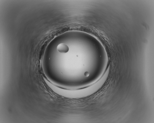 X0000113011445200909031304