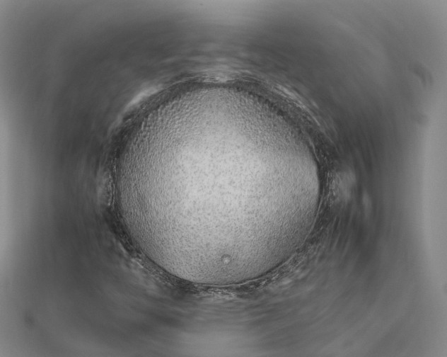 X0000113011446200909031304