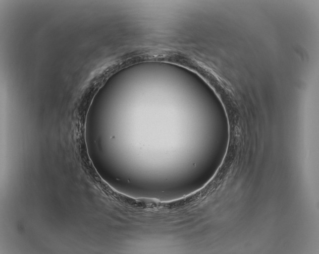 X0000113011447200909031304