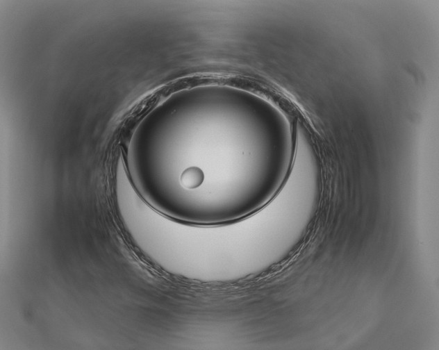 X0000113011448200909031304