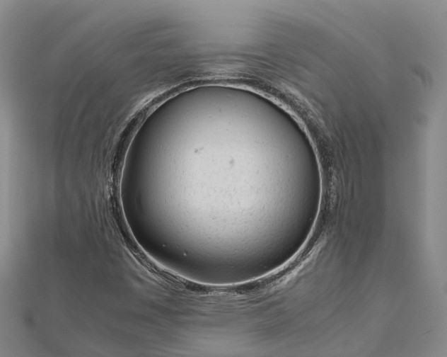 X0000113011449200909031304